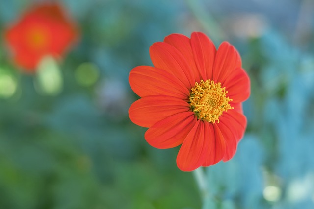 杜兰特的防 杜兰特的防