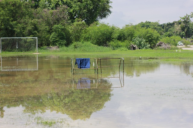 纳达尔的 纳达尔的