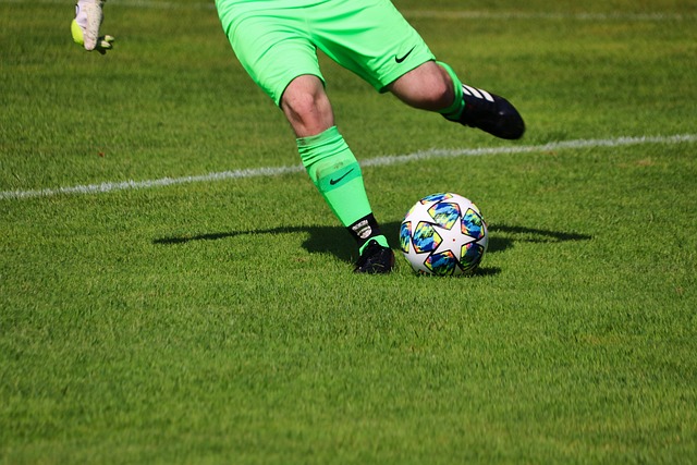 的多样化 的多样化