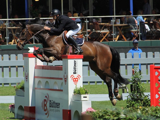 作為一顆未 作為一顆未