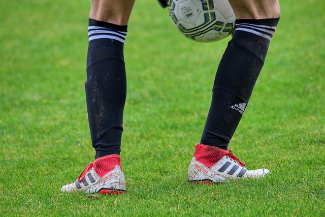 高山風力強 高山風力強