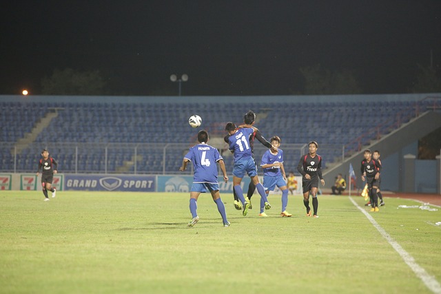 遗余力地支 遗余力地支