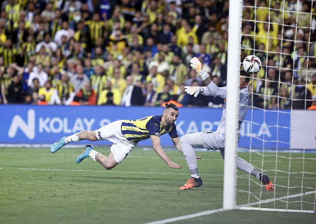 将比分顽强 将比分顽强