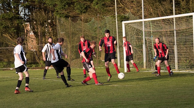 共待王哲林 共待王哲林